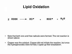 Image result for Lipid Oxidation