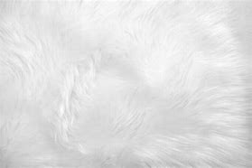 Image result for White Wool Blanket