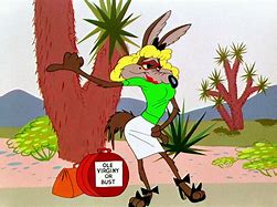 Image result for Looney Tunes Wile E Cyote