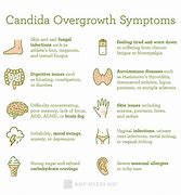 Image result for Foods to Avoid with Candida Overgrowth