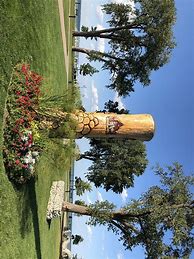 Image result for Tree Totem Pole