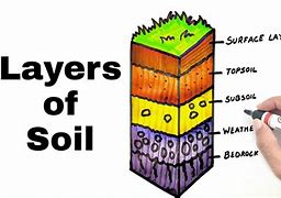 Image result for Soil Layers Drawing