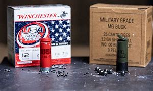 Image result for Birdshot Shells