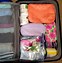 Image result for Suit Bag Suitcase