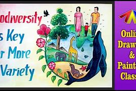 Image result for Biodiversity Posters