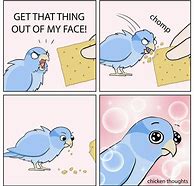 Image result for Bird Siniging Meme