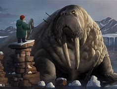 Image result for Walrus Mwn