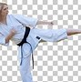 Image result for Black Belt in Taekwondo Cartoon