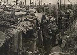 Image result for WWI Trenches Now