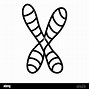 Image result for Double Helix Black and White