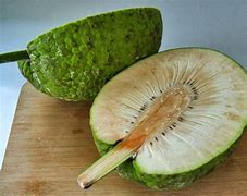 Image result for Buah Sukun Masak Kari