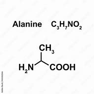 Image result for Alanine Chemical Structure