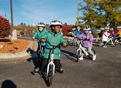 Image result for Chimps Riding Bicycles