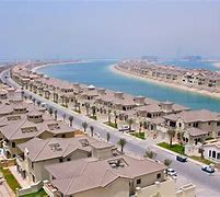 Image result for Palm Isla