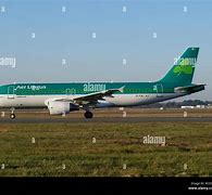 Image result for Aer Lingus A320