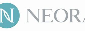 Image result for Neeri Logo.png