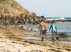 Image result for Hawaiian Snorkeling