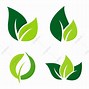 Image result for Leaf Logo HD