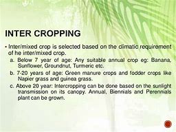 Image result for Trerracing Coconut Cultivation