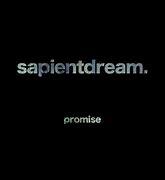 Image result for Past Lives Lyrics Sapientdream