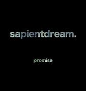 Image result for Past Lives Sapientdream Cello and Piano