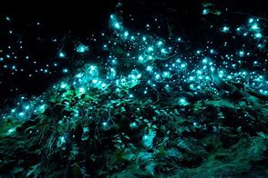 Image result for Glow in the Dark Plastic Worms