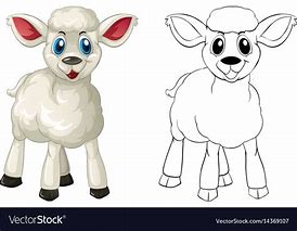 Image result for Baby Lamb Doodle