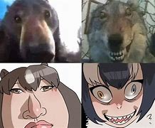 Image result for Staring Dog Meme Luffy