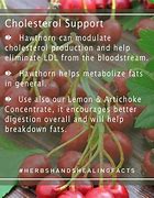 Image result for Herbs for Cholesterol Control