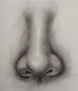 Image result for Shaded Nose Drawing