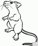 Image result for Mad Rat Outline