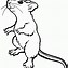 Image result for Mad Rat Outline