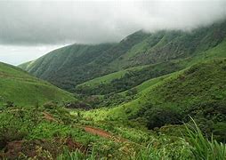 Image result for Mount Nimba Strict Nature Reserve