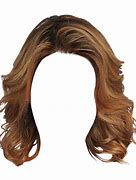 Image result for Judicial Wig PNG Transparent