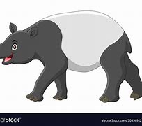 Image result for Tapir Fighting Art