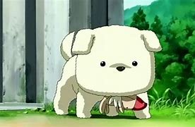 Image result for Anime Dogg St