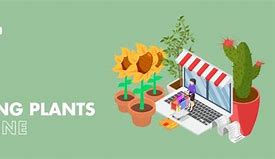 Image result for Selling Plants