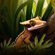 Image result for Crested Gecko Petco