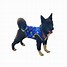 Image result for Clothes for Dogs Product