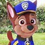 Image result for PAW Patrol Pinata