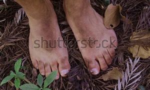 Image result for Hobbit Feet Frodo