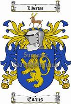 Image result for Welsh Surnames Coat of Arms Herne