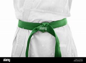 Image result for Green Belt Karate