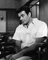 Image result for Stuart Whitman Young