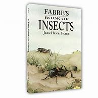 Image result for Insect Book by Fabre