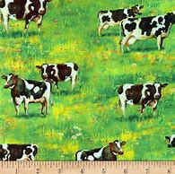 Image result for Cow Fabric