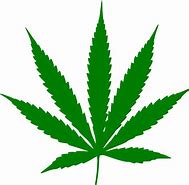 Image result for Transparent Marijuana Leaf Clip Art