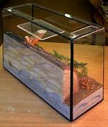 Image result for Ant Enclosure