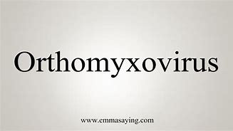 Image result for Orthomyxovirus