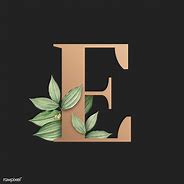 Image result for Letter E Font Art